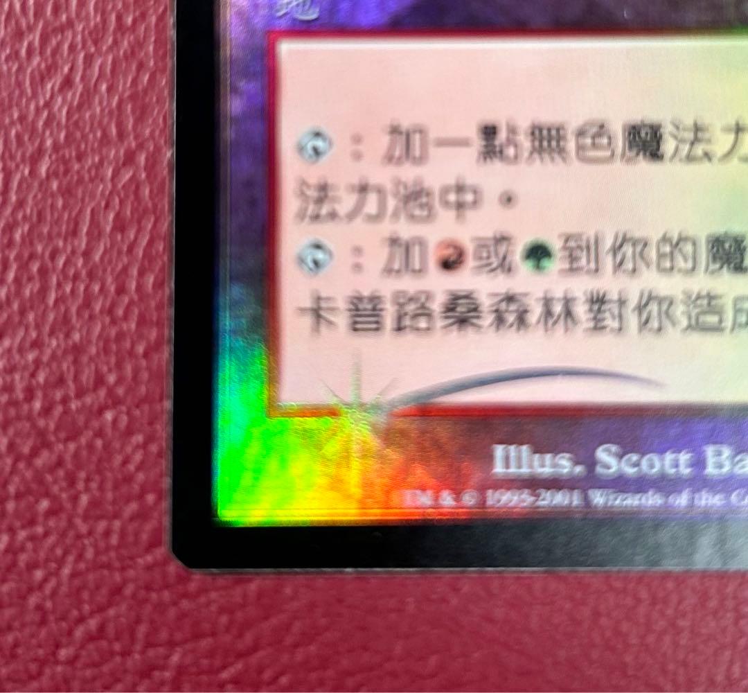 希少　中国語　Foil　カープルーザンの森　1枚