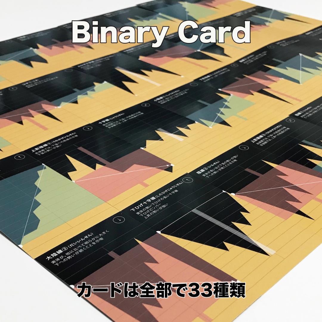 講座用｜10点まとめ｜バイナリーカード｜教材｜新品未使用｜学習教材｜ハイロー