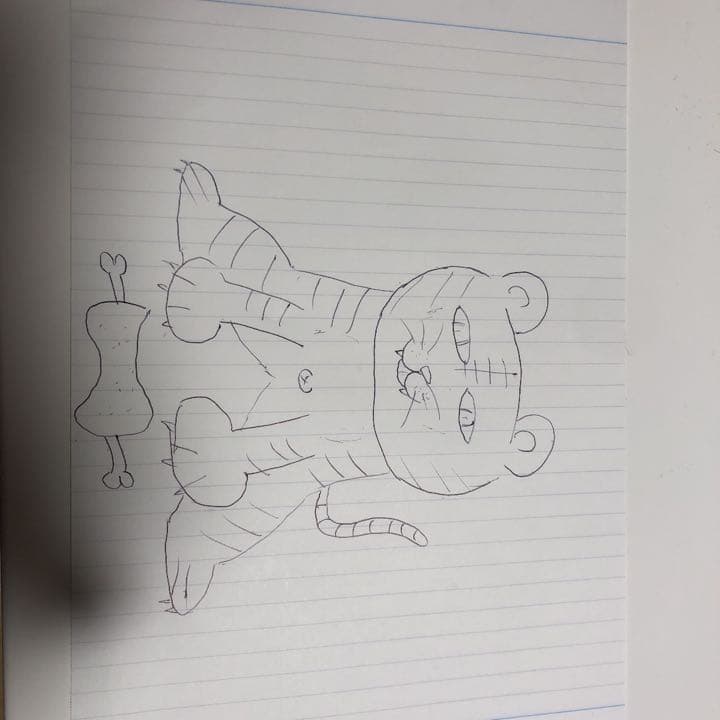 虎のイラスト