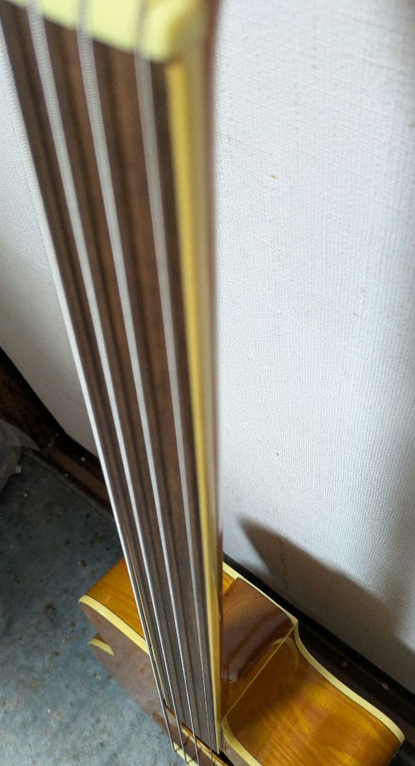 ZENN アコースティックベース フレットレスZB22CE-FL　ソフトケース付