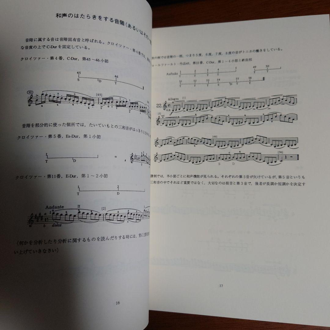 弦楽器と旋律楽器奏者の和声学