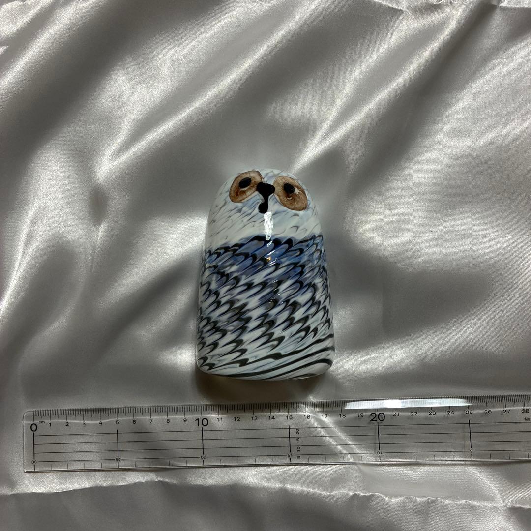  Lumi バード Owlet owl フクロウ