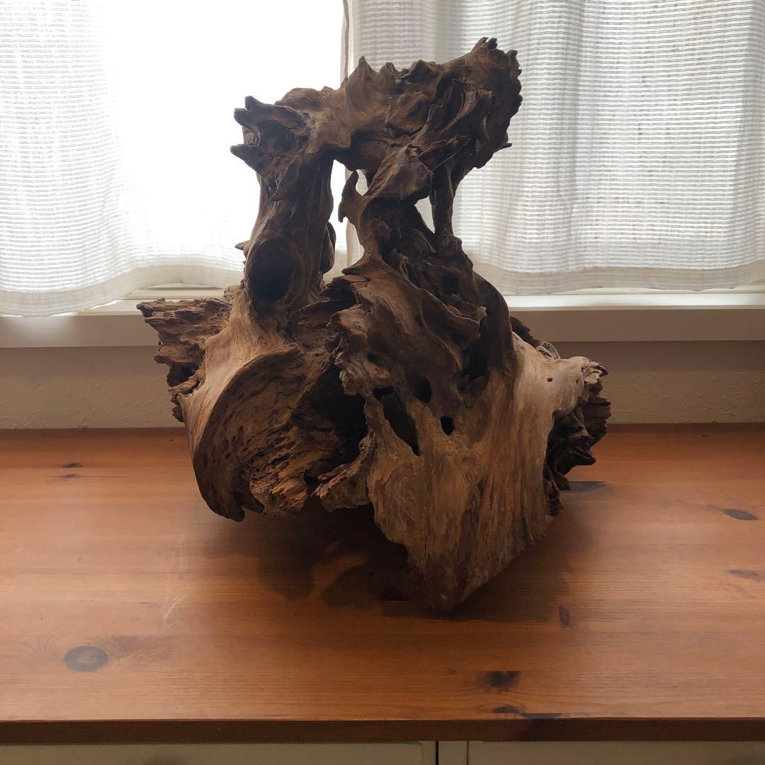 屋久杉置物