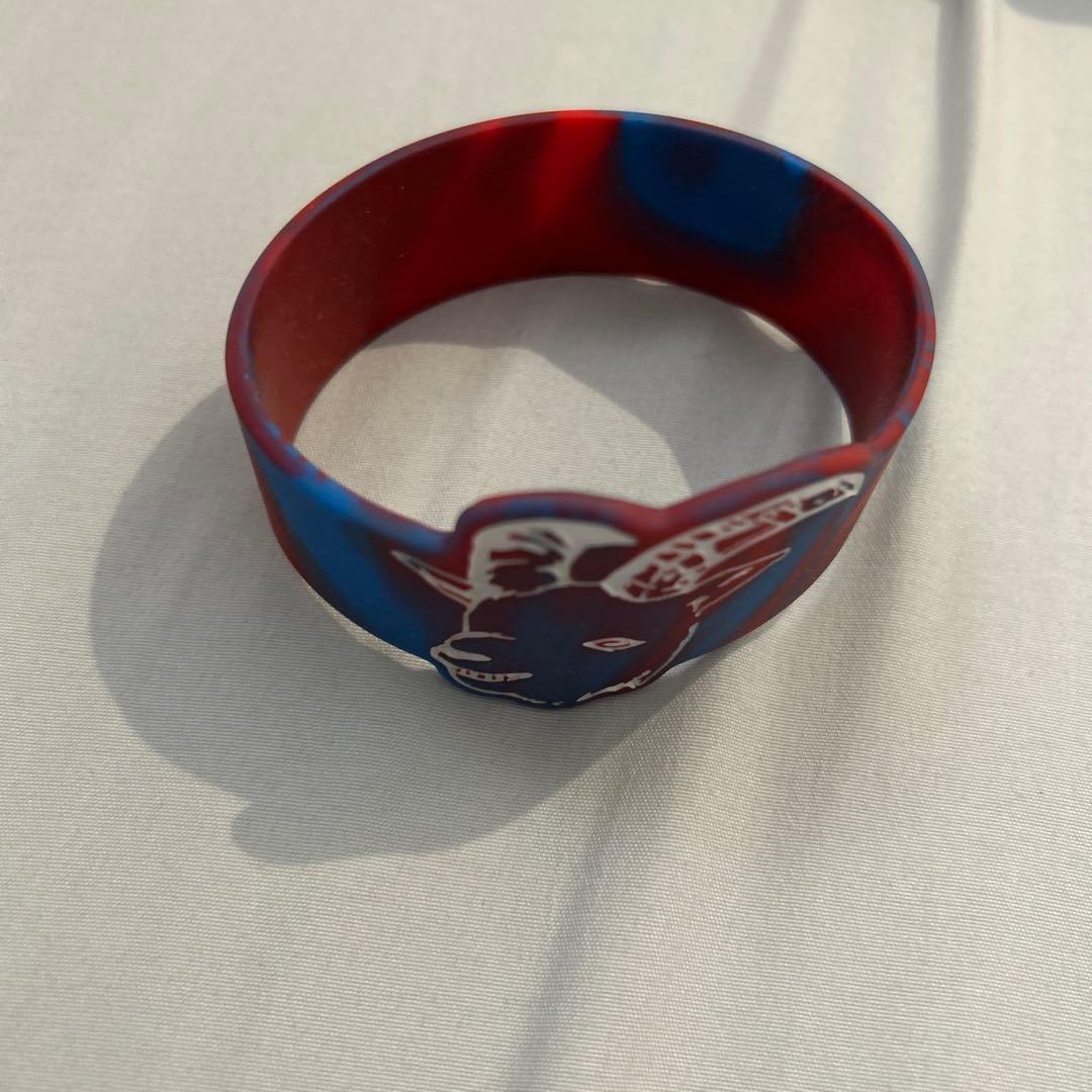 激レア 初期 Chevon 直筆サイン入りポスター 初期リストバンド付