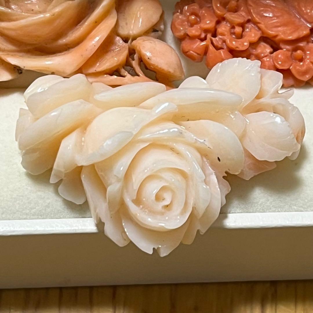 珊瑚アートサンゴ3個セット
