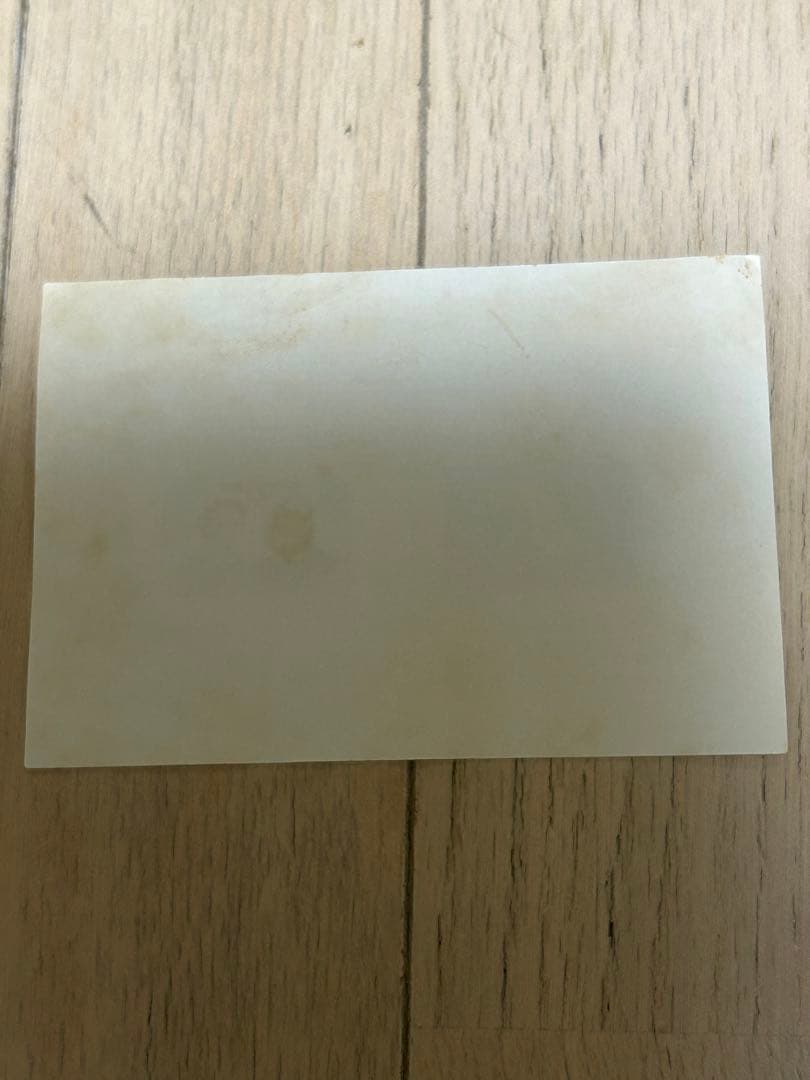 現上皇陛下　皇太子殿下御成婚記念