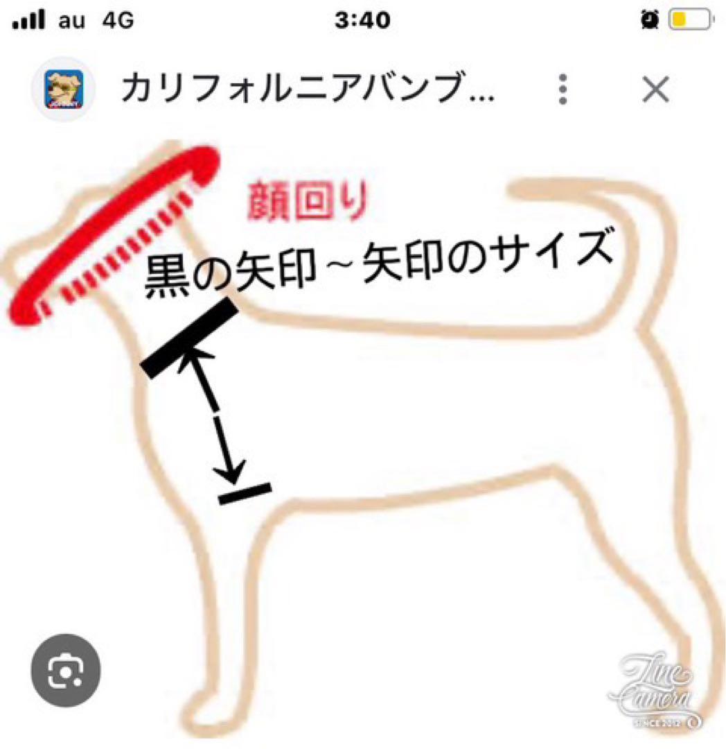 B420.pon2pan2☆オーダー☆犬お着物☆犬お引き摺りお着物