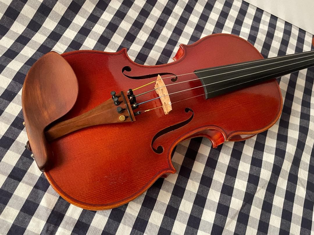 ピグマリウス DX-118 4/4サイズ 駒調整済み