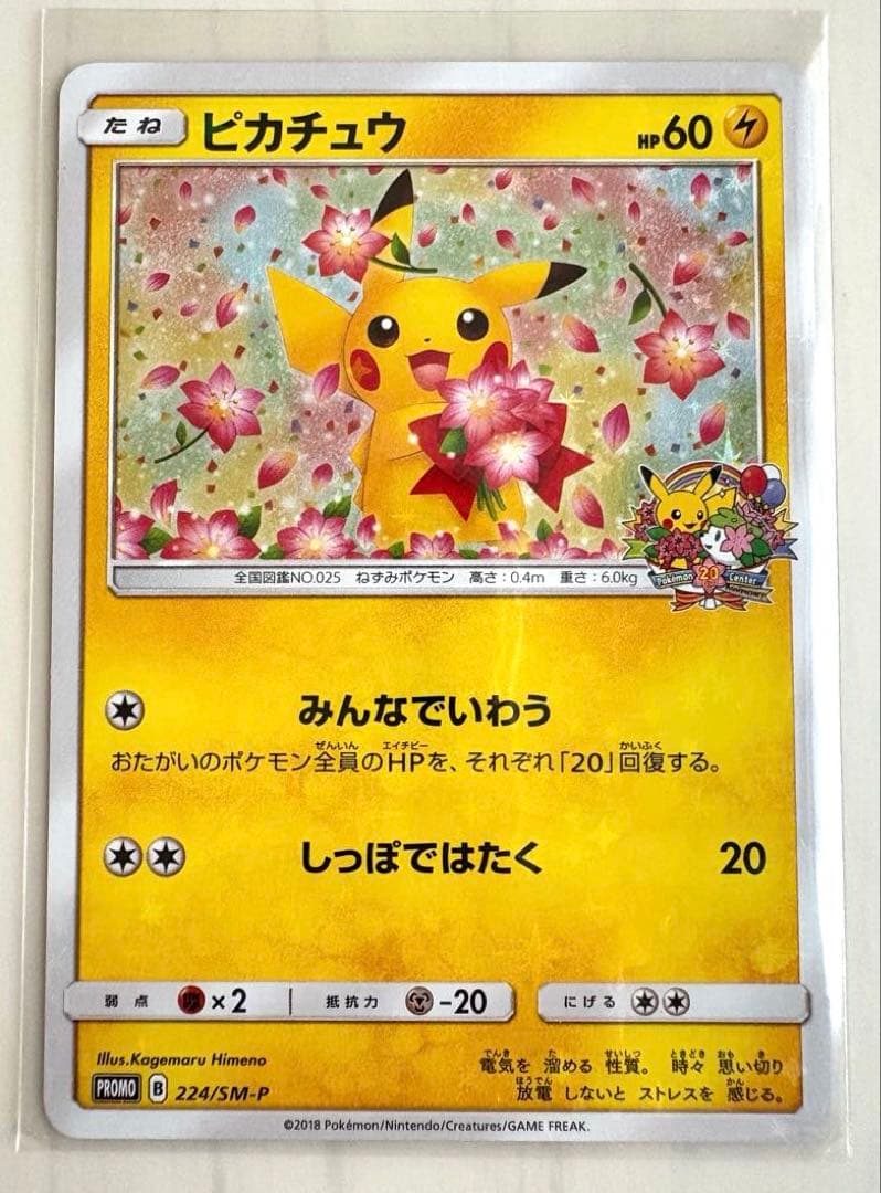 ピカチュウ みんなでいわう&日本代表　プロモ3枚セット