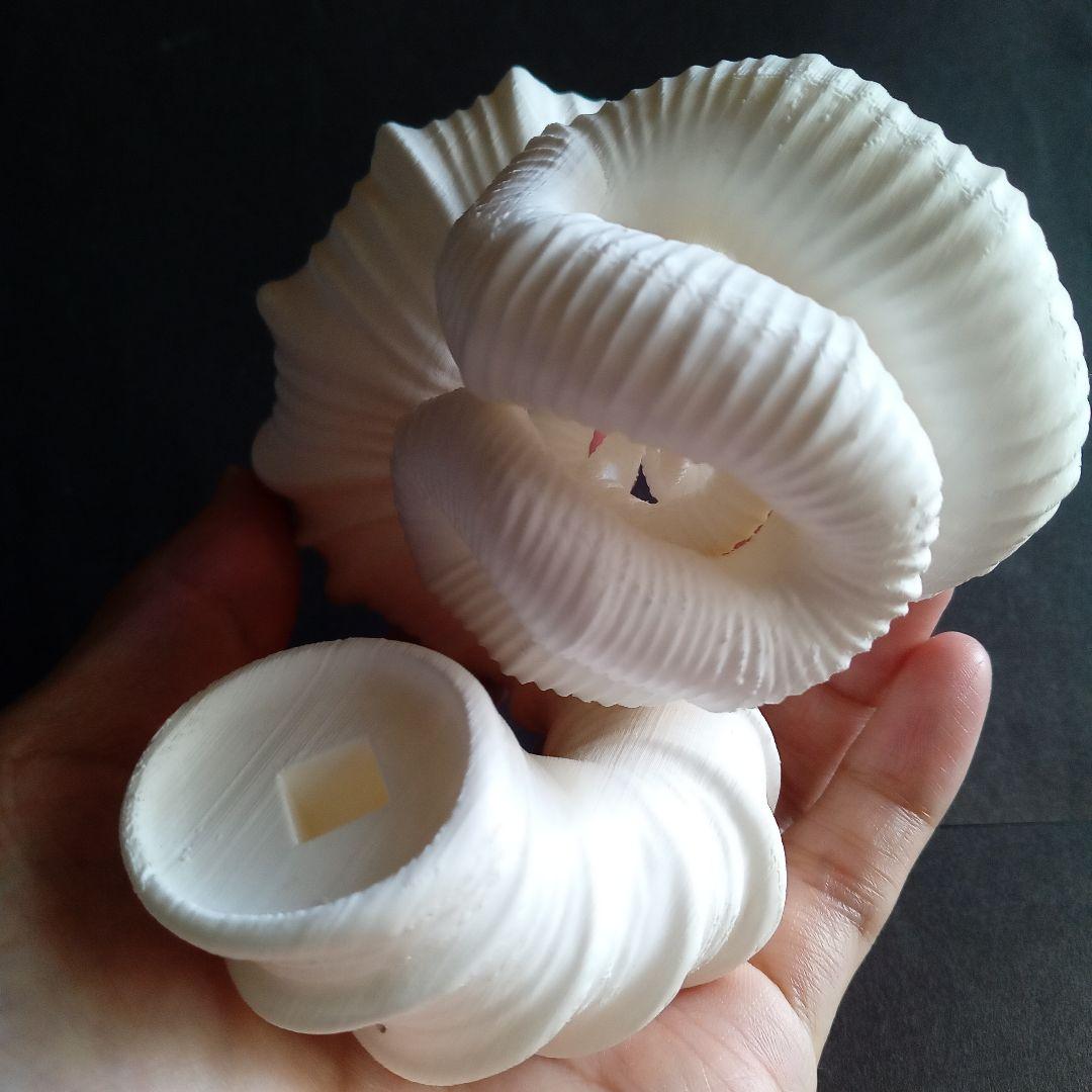 異常巻きアンモナイト　ニッポニテス　３Ｄモデル