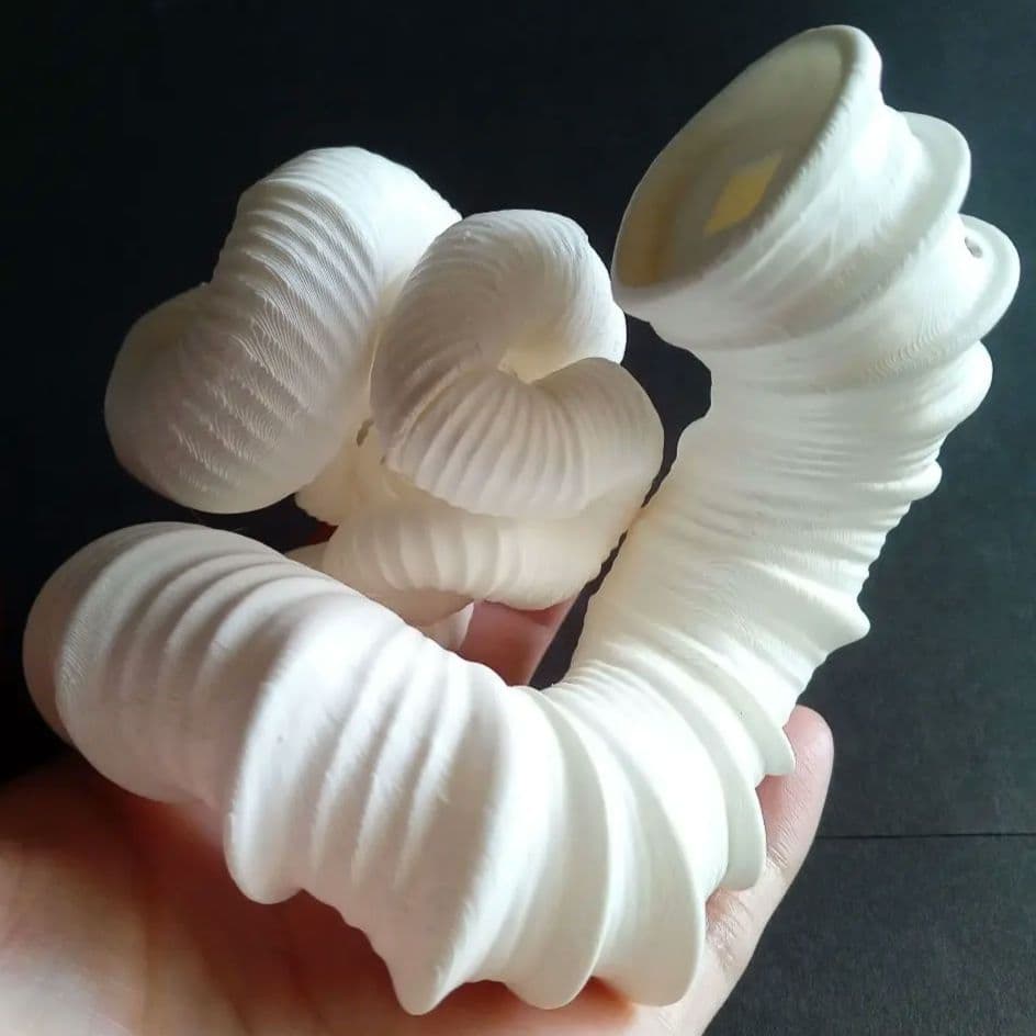 異常巻きアンモナイト　ニッポニテス　３Ｄモデル
