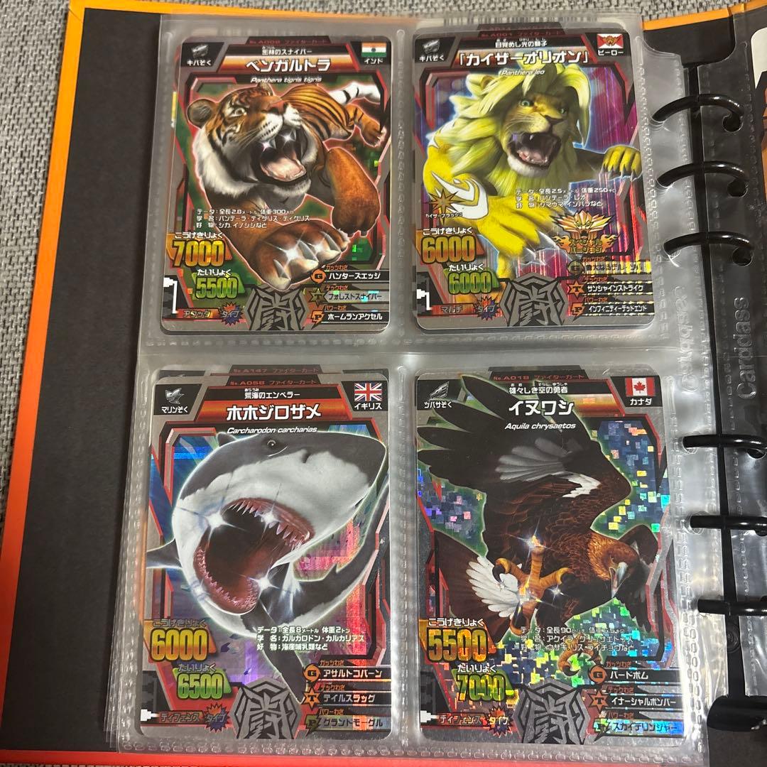 アニマルカイザーデータカードダスセット