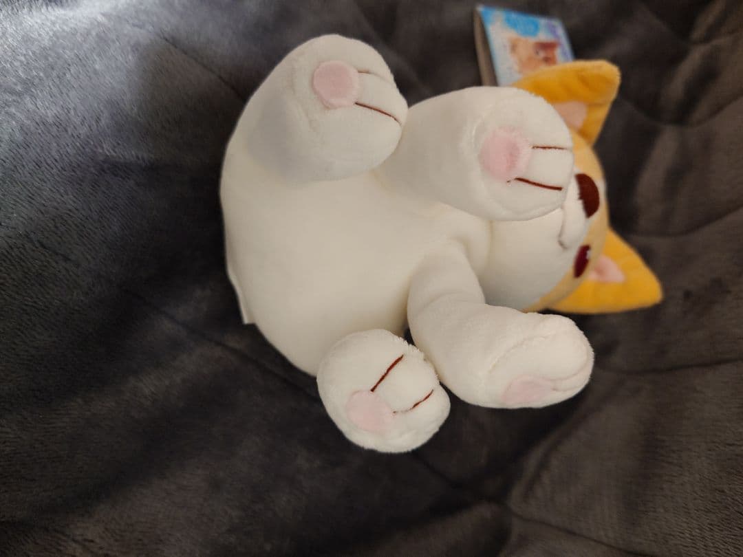 わんわんわんこ　わんこ天使　くったりぬいぐるみ　ウェルシュコーギー　サンエックス