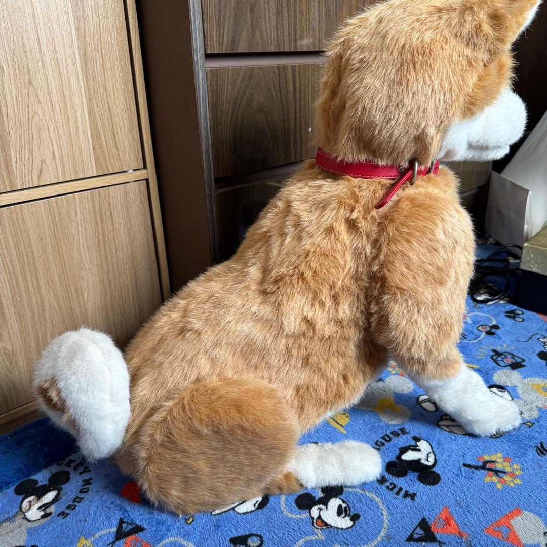 電動ペット ペットロボット ココチモ 愛犬しばちゃん 等身大 柴犬