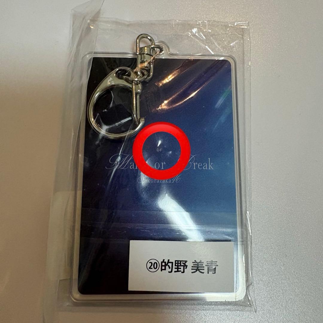 的野美青　まとめ売り