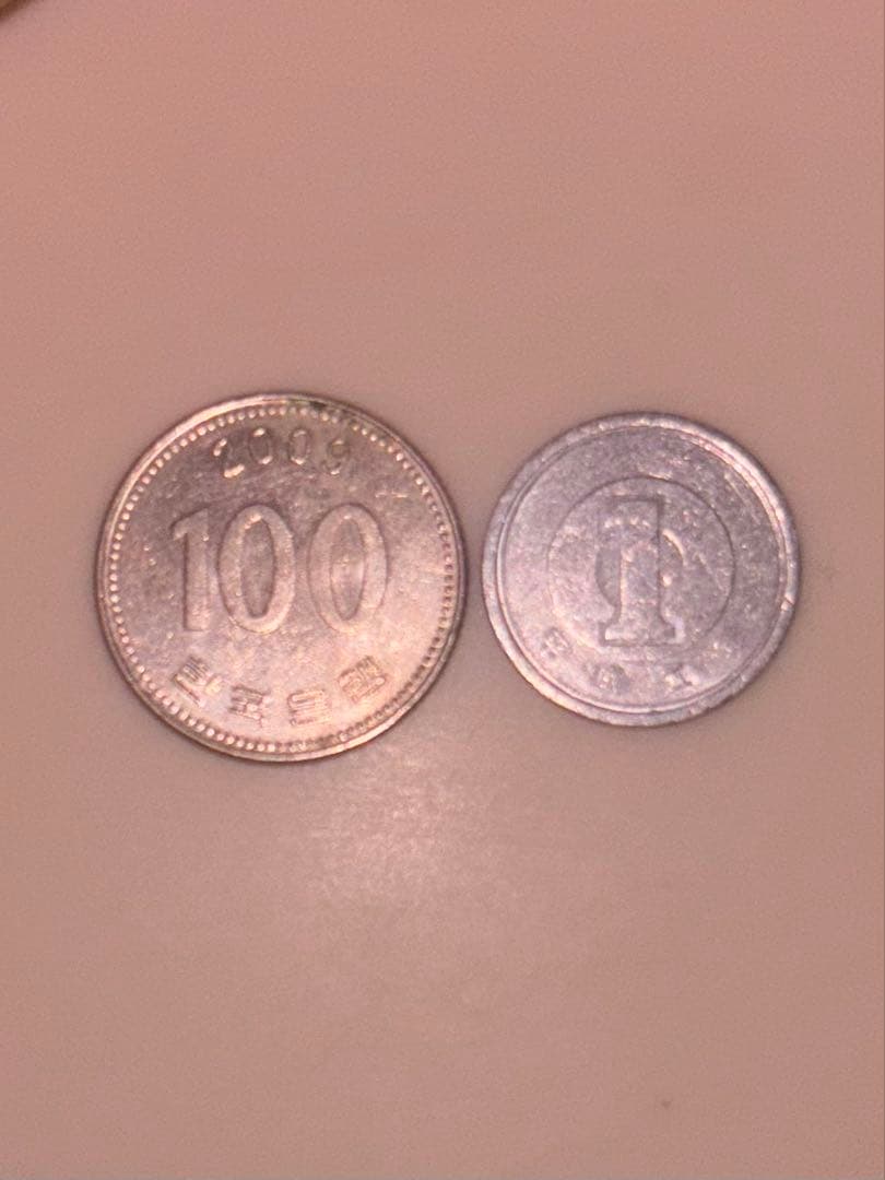 1988 韓国　(100 won) KOREAN VINTAGE COIN