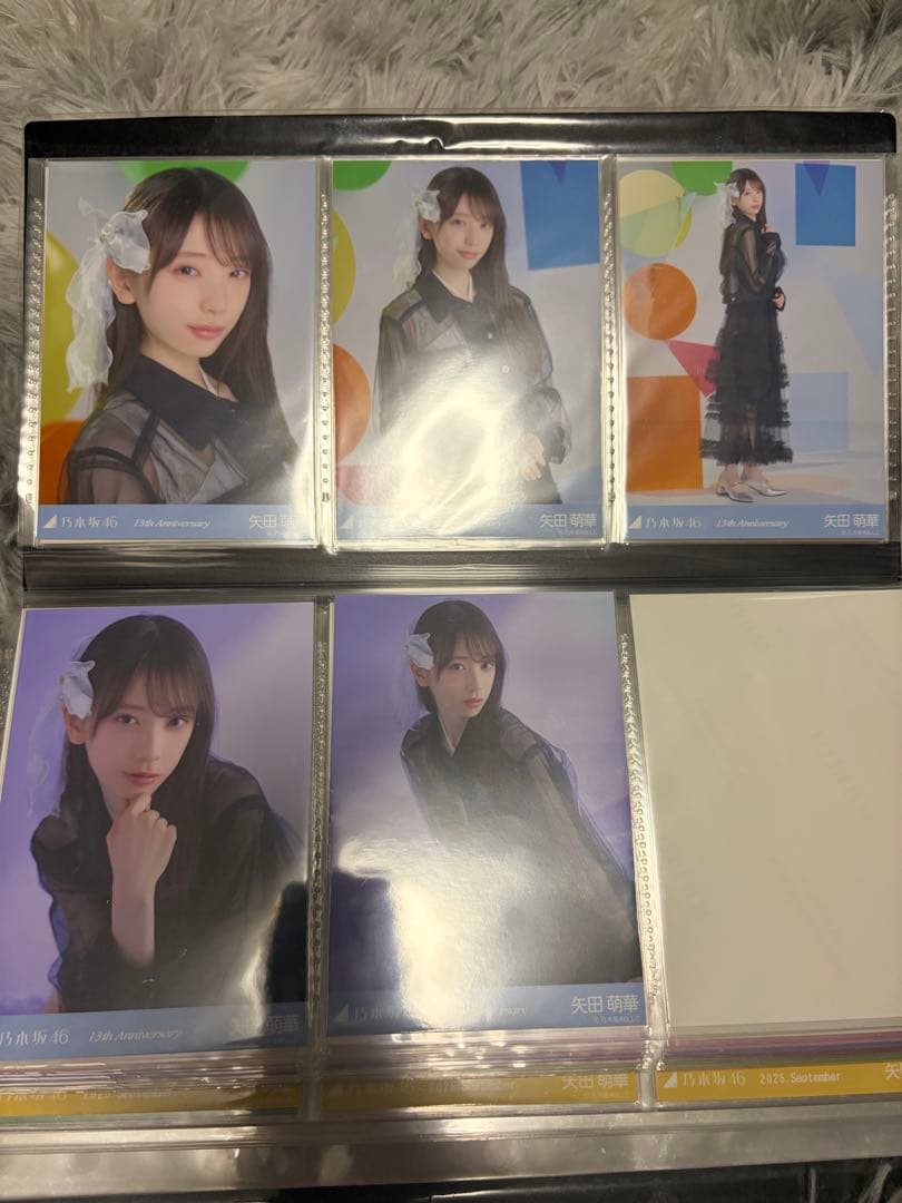 なでしこ