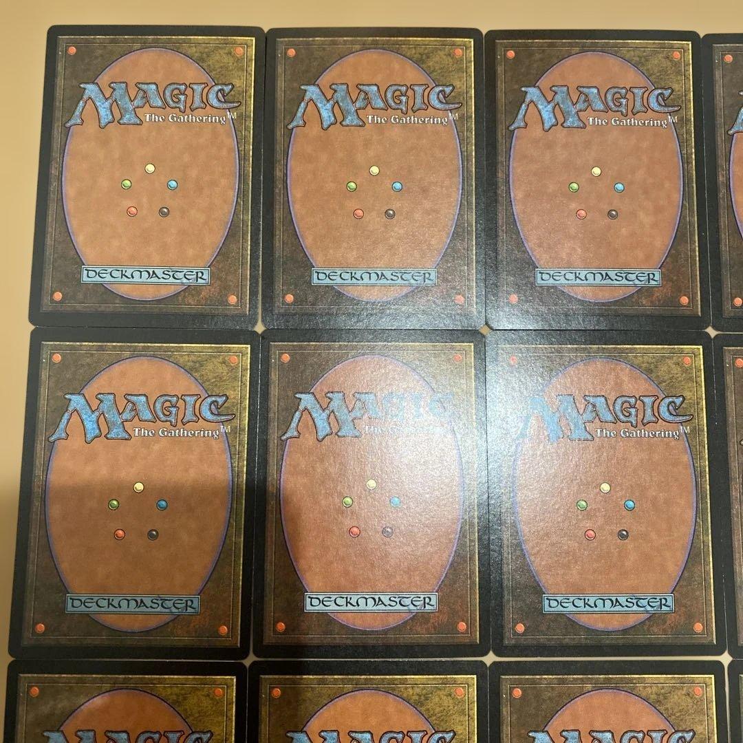 MTG apacランド 全種 15枚