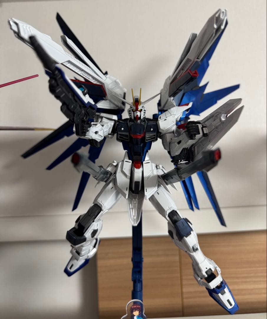 ガンプラ MG フリーダム＆ジャスティス スペシャルコーティング 2体セット＋α