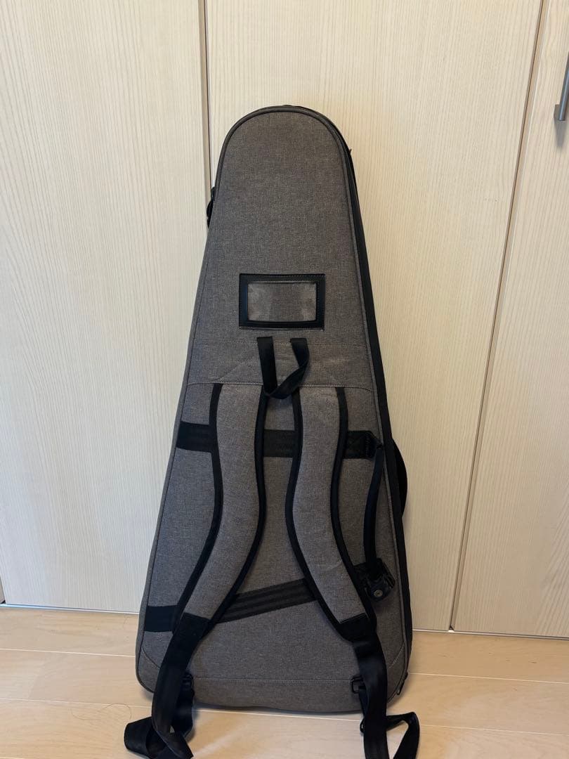 ギター strandberg BODEN STANDARD