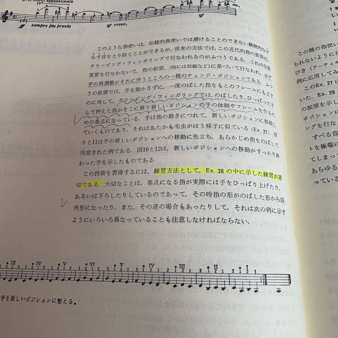 ヴァイオリン奏法と指導の原理
