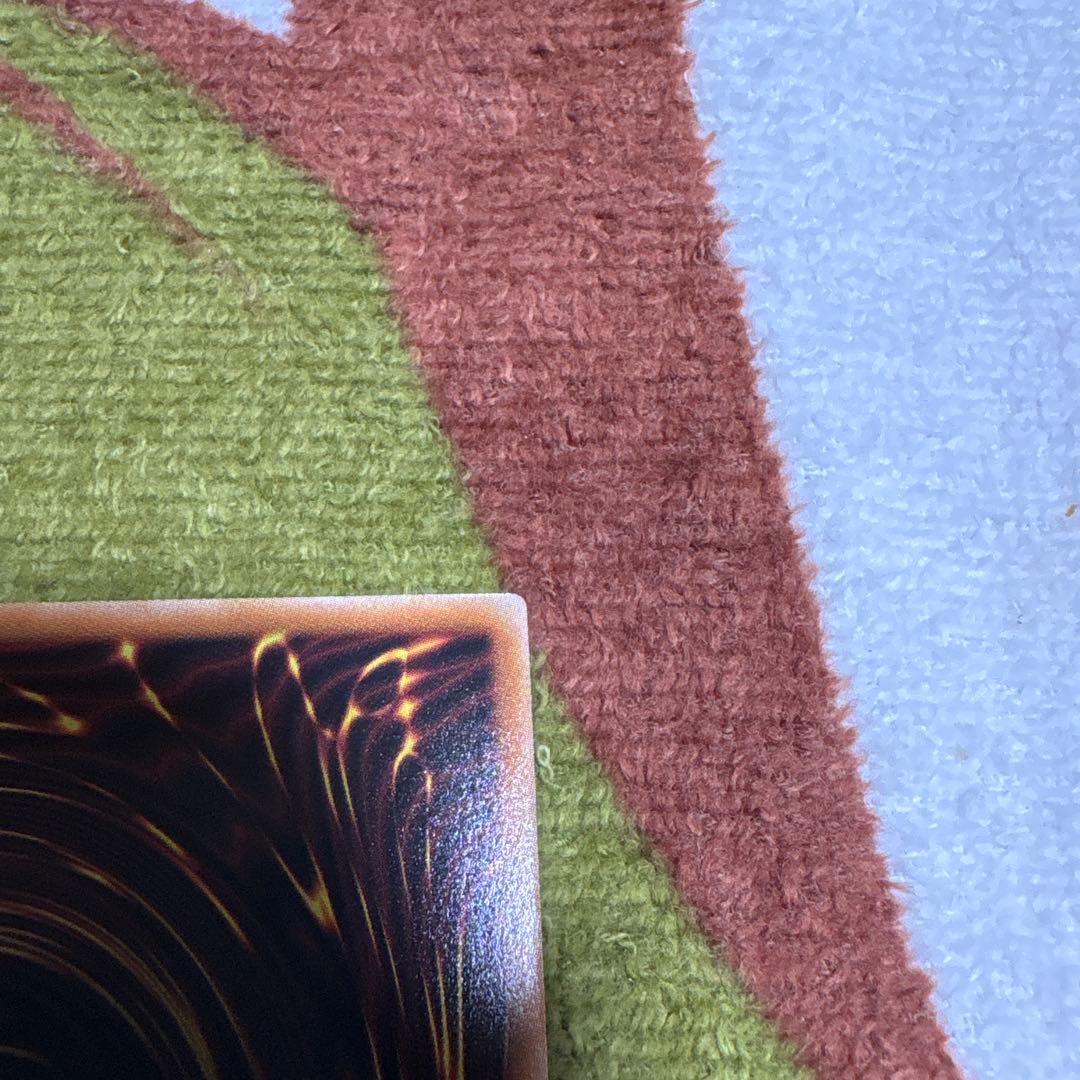 白き竜の落胤　プリシク