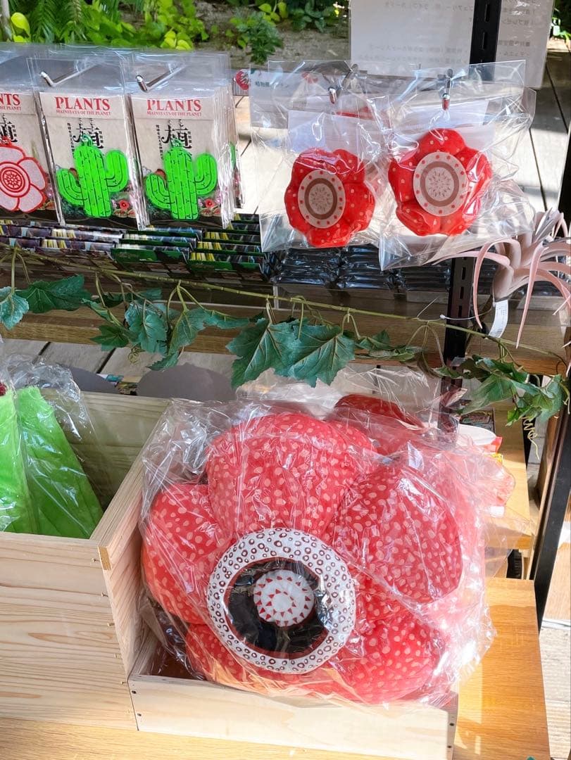 新品未開封　世界最大の花 「ラフレシア」 の クッション　特別展 \"植物\" 限定