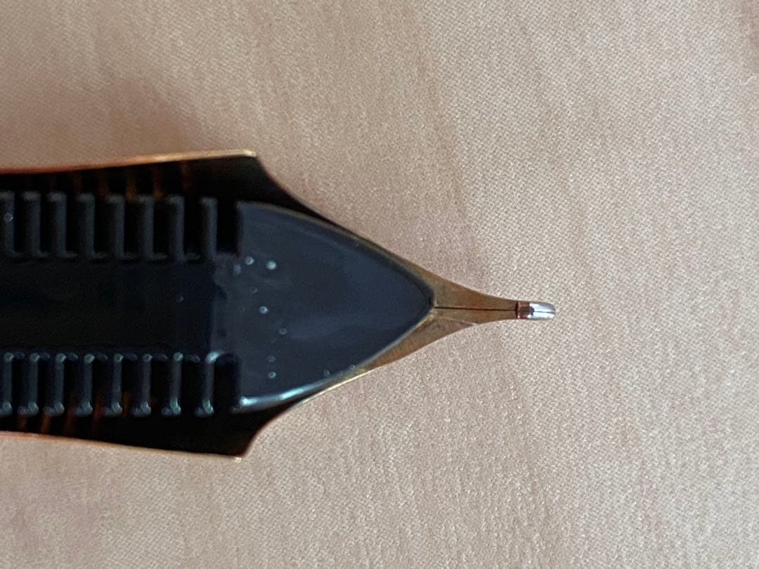 【v494v】フルハルター 10周年記念モデル 万年筆