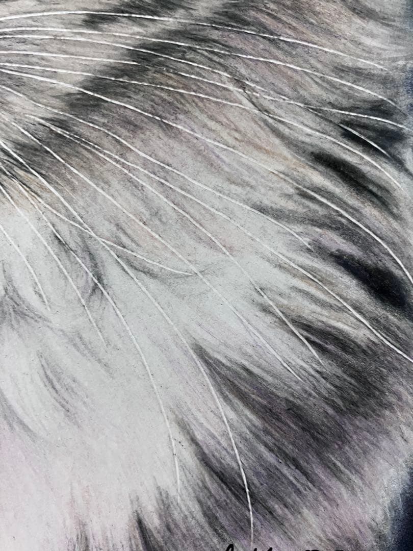 気高き猫 色鉛筆画 パステル