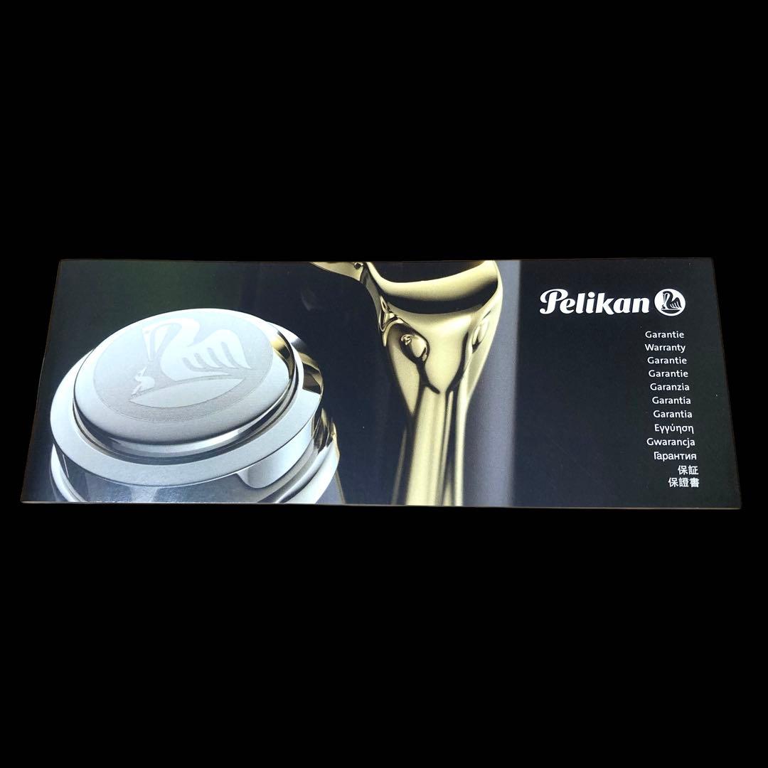 希少【付属品多数/国内限定800本】ペリカン M101N リザード 万年筆