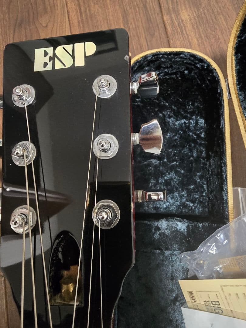 ESP 助六 イグアナ 横山健 シグネイチャーモデル