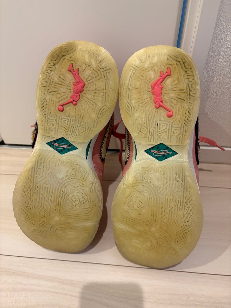 シューズ(男性用) NIKE LEBRON 20 South beast 27cm us9