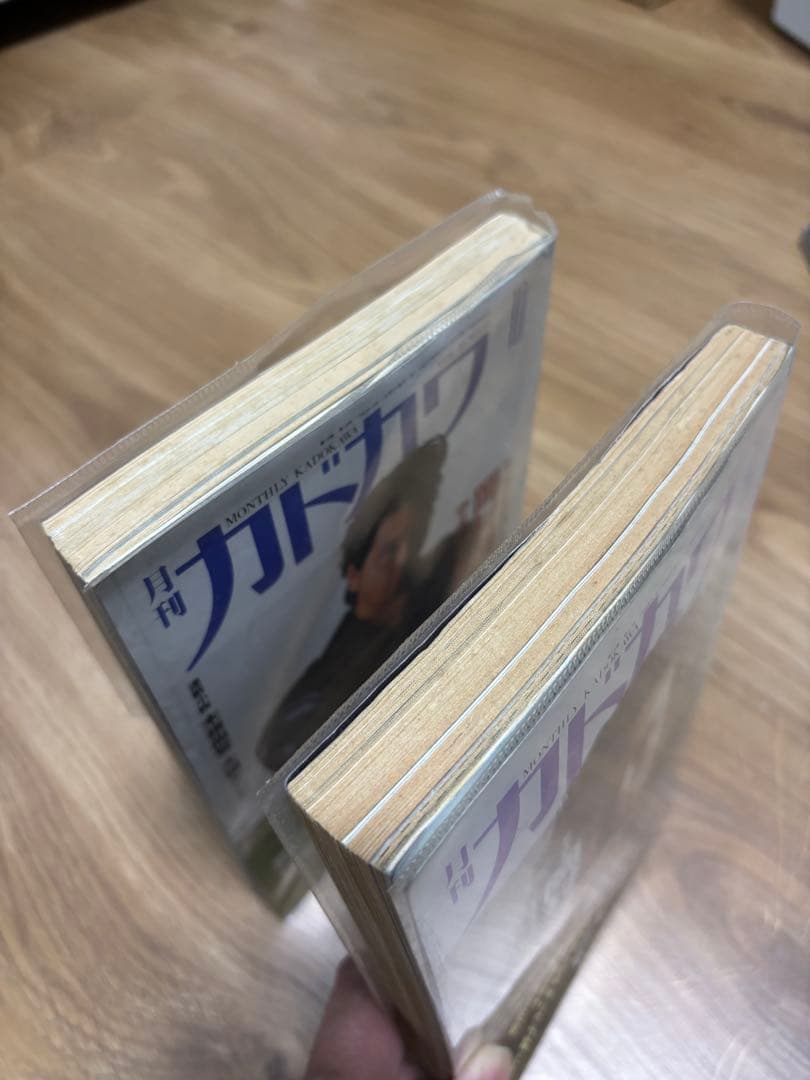 岡村靖幸 色々セット