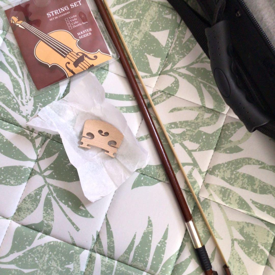 Eastarバイオリン 4/4 単板 ソリッド バイオリンセット 本体