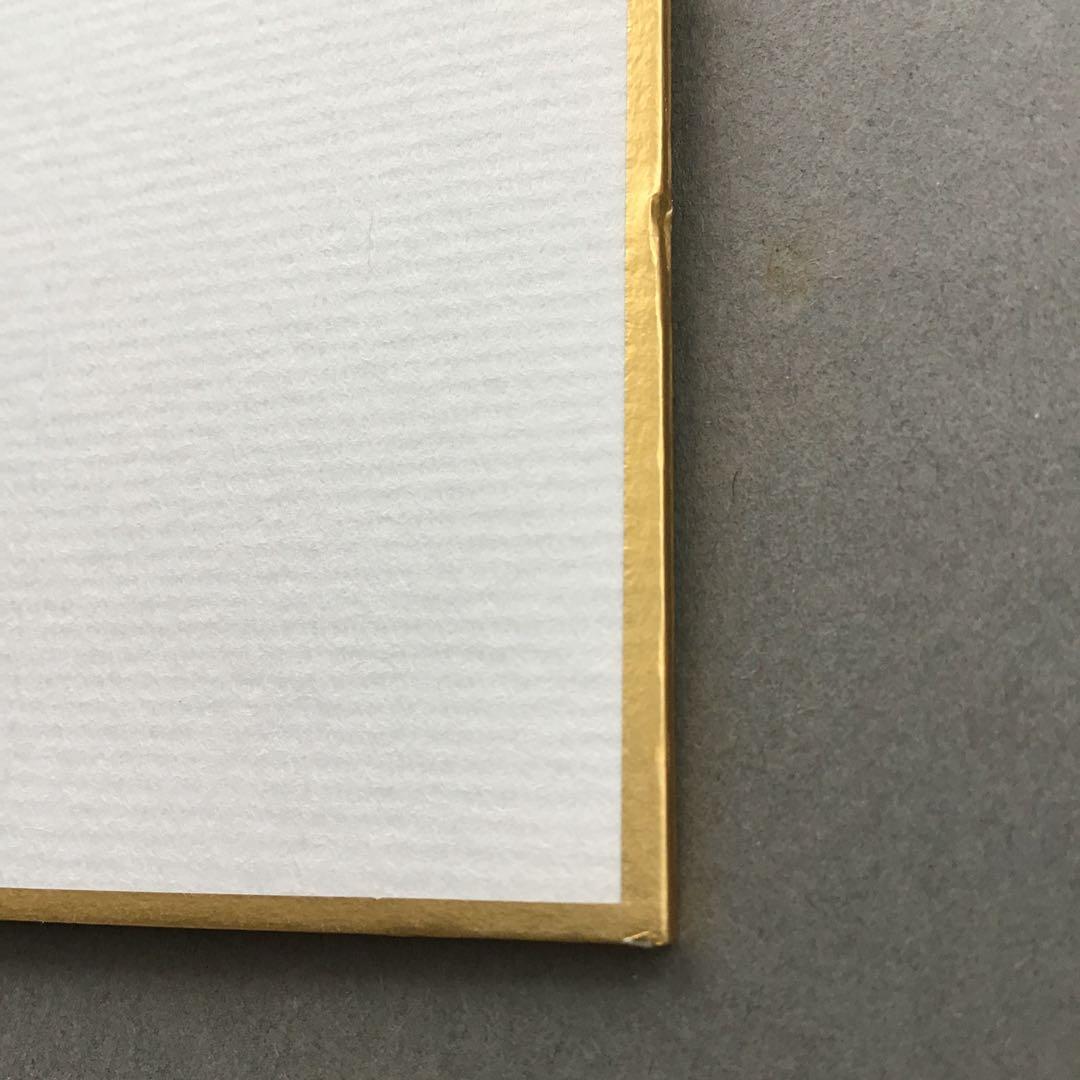 色紙　「平常心是道」　大徳寺黄梅院小林太玄　畳紙　配送用袋　S1035SS