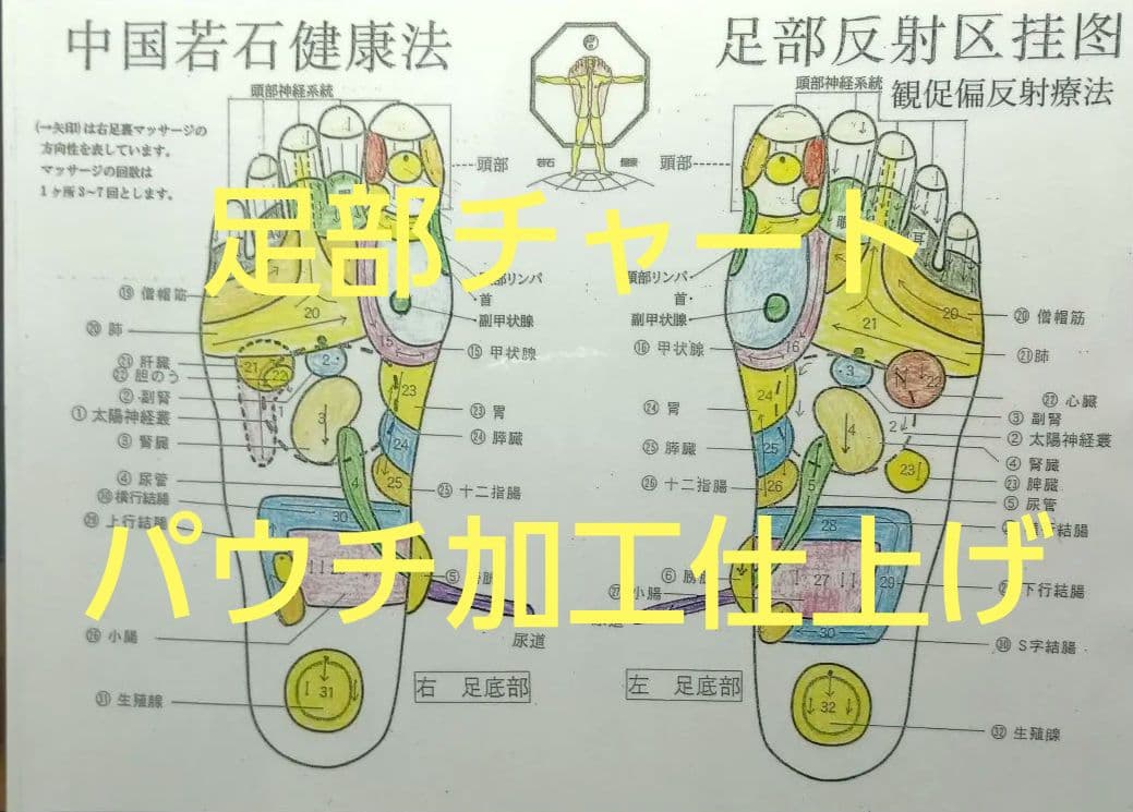 A6:足つぼ（DVD）学ぶ・足部反射療法自己練習用基礎編プロの教材set