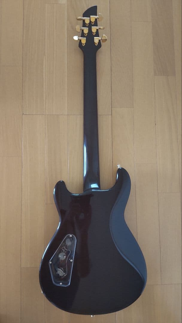 FERNANDES　APG-100 24F【レア】