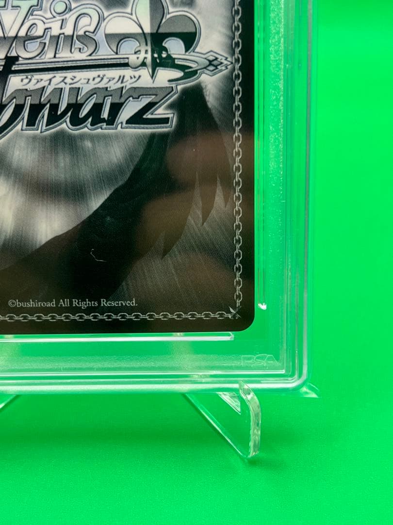 PSA10 プールサイドの誘惑　トール