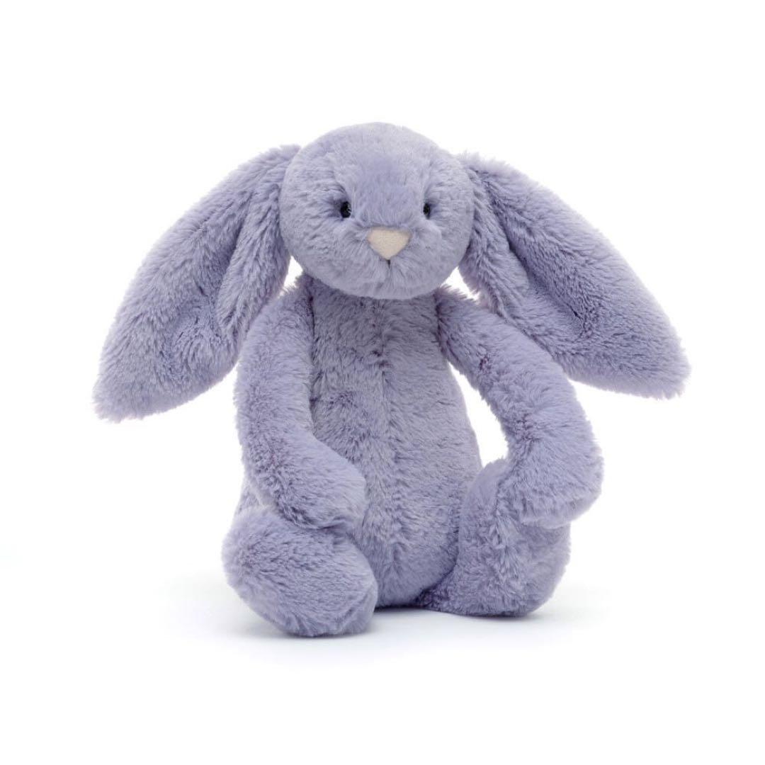  Bashful Dusky Blue ・Viola