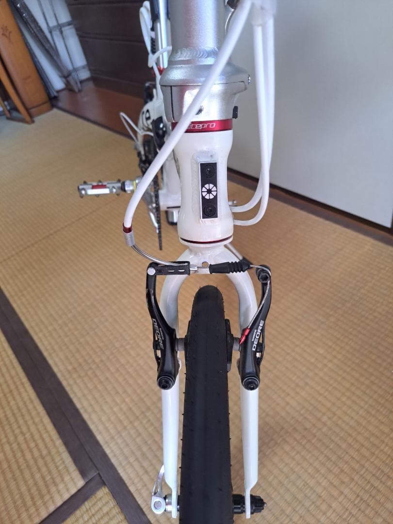 ダホン ルート10sフルカスタム　　　　　　　　DAHON ROUTE
