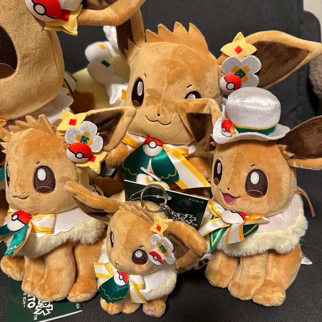 新品　ポケパーク　カントー　 ショップ　限定 イーブイ　ぬいぐるみ5体セット