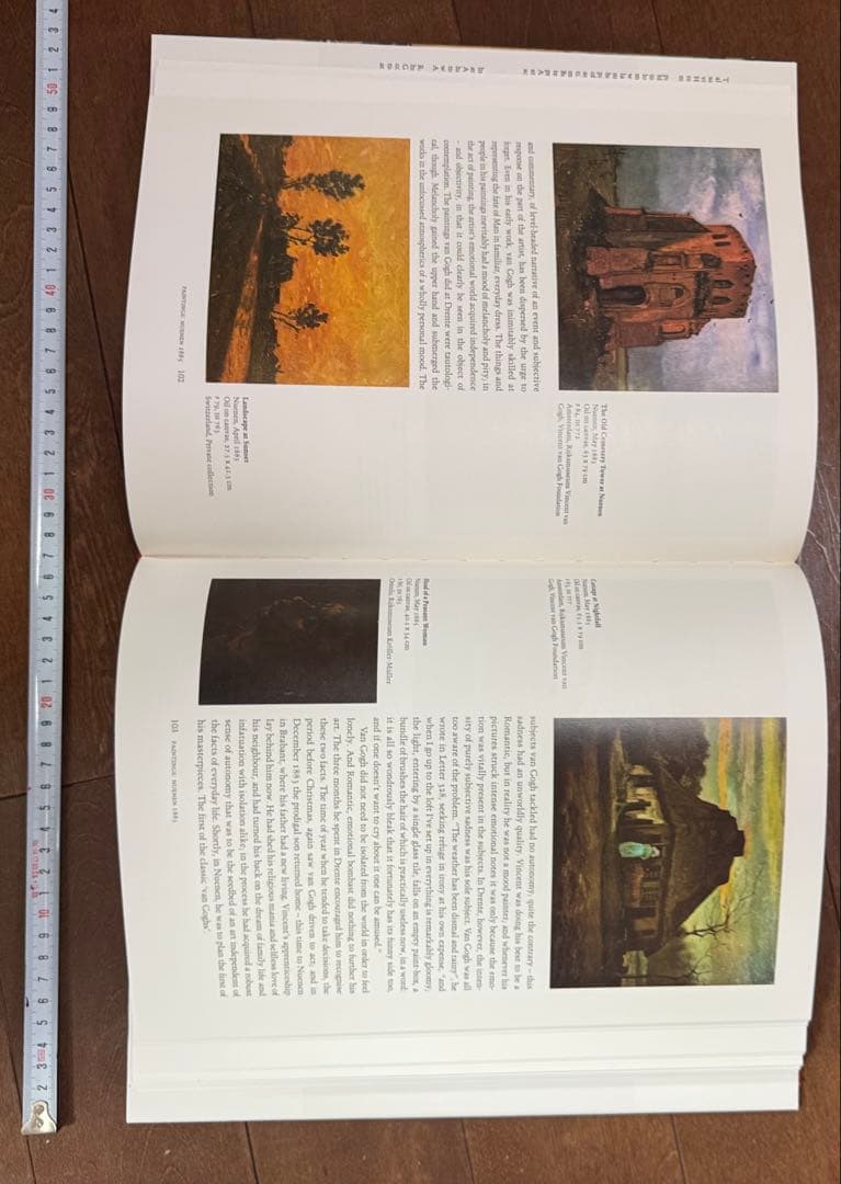 Van Gogh: The Complete Paintings 2巻セット