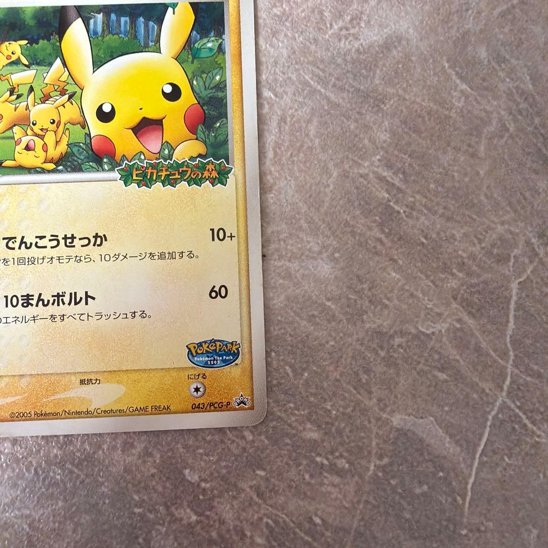 ポケパークのピカチュウ