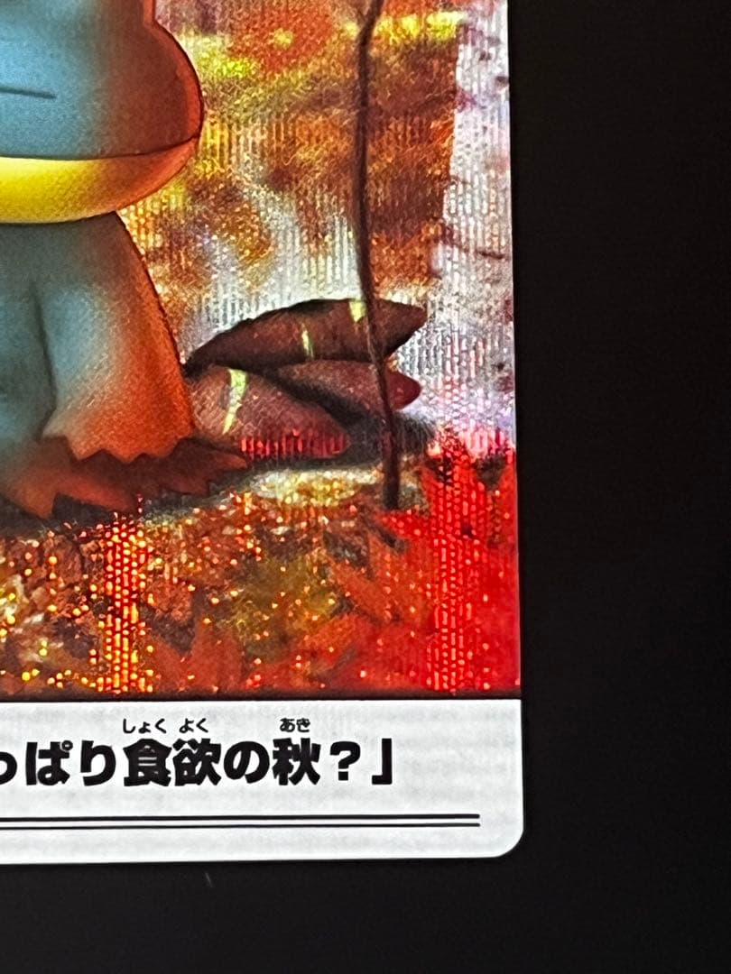 ポケモンウィークリー ゴンベ オーロラ レア ホロ