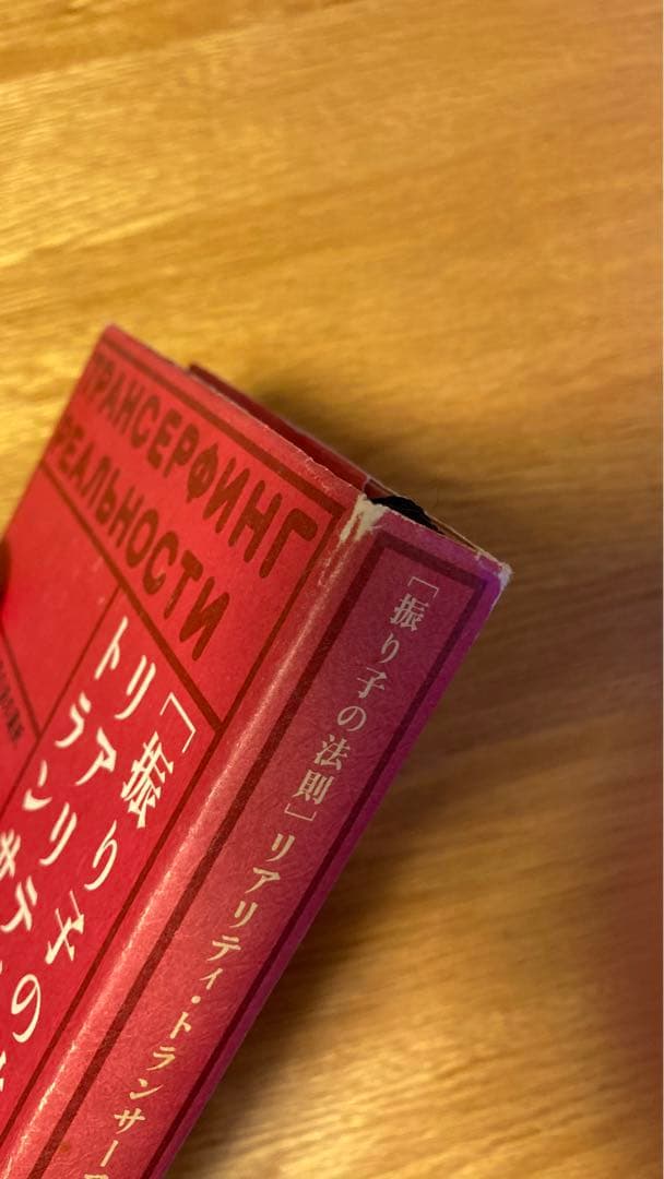 振り子の法則 リアリティ・トランサーフィン
