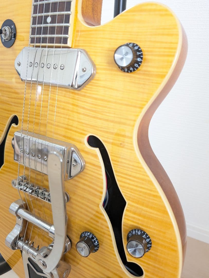 Epiphone Wildkat エピフォン　ワイルドキャット　ビグスビ―付