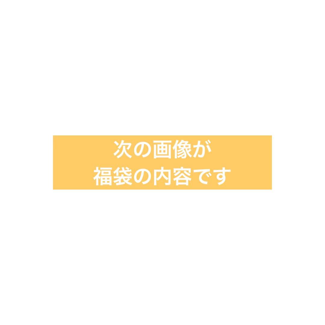 福井県立恐竜博物館　10,000円福袋