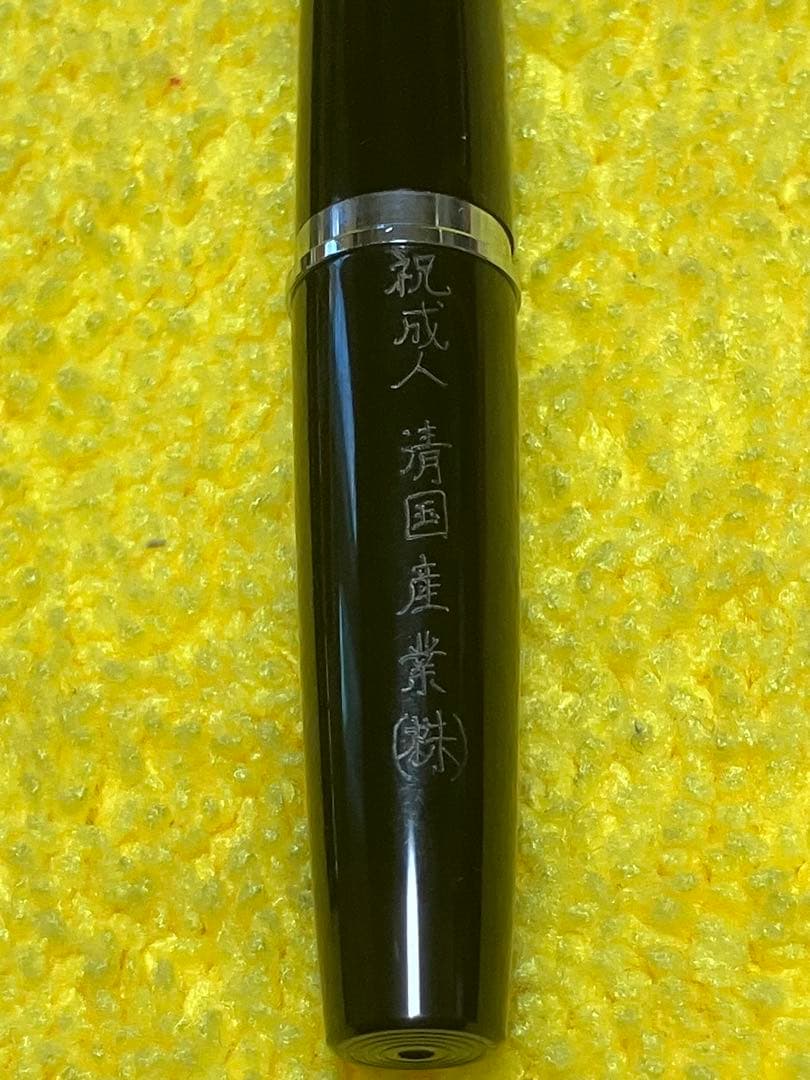 新品　パイロット PILOT エリート Elite 万年筆 半格子 蝕刻 セット