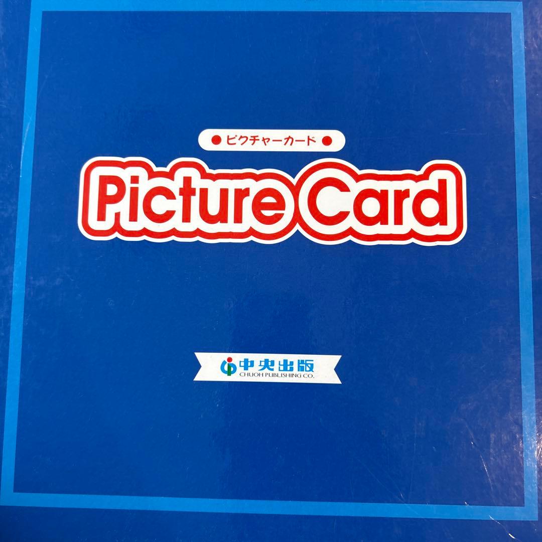 英語　ピクチャーカード＆エッグゴー