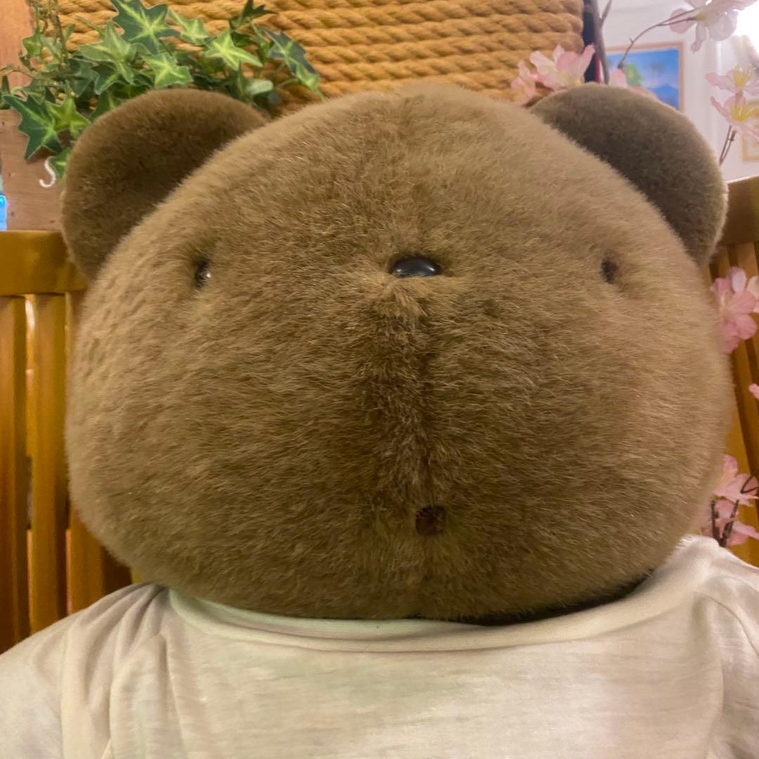 稀少 サンリオ　Mr.Bear'sミスターベアーズドリーム 1995ぬいぐるみ